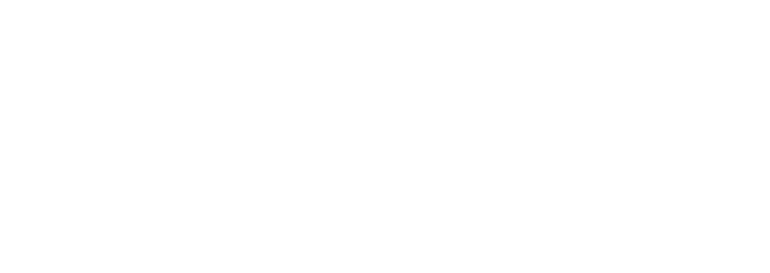 BetXchange_White_Logo