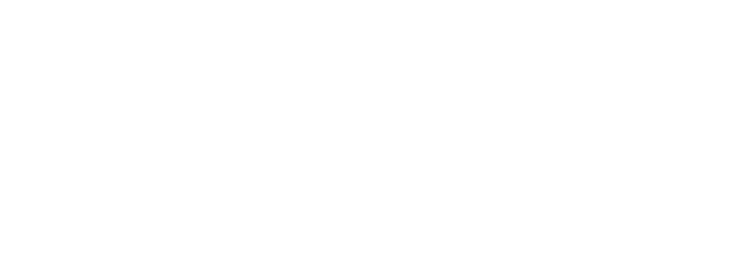 KingBets_White_Logo