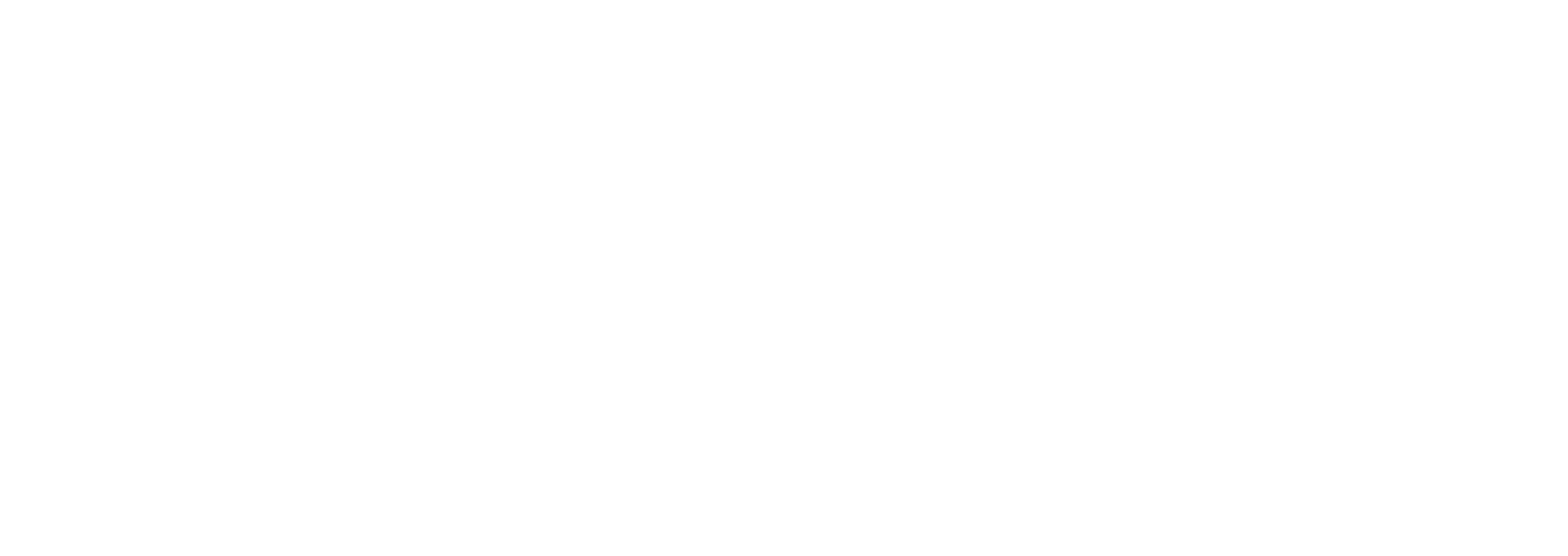 Play_White_Logo