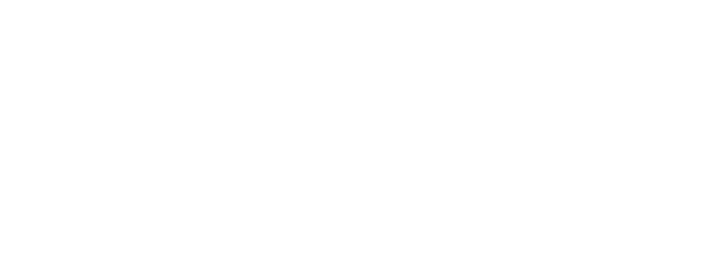 Playa_Bets_White_Logo