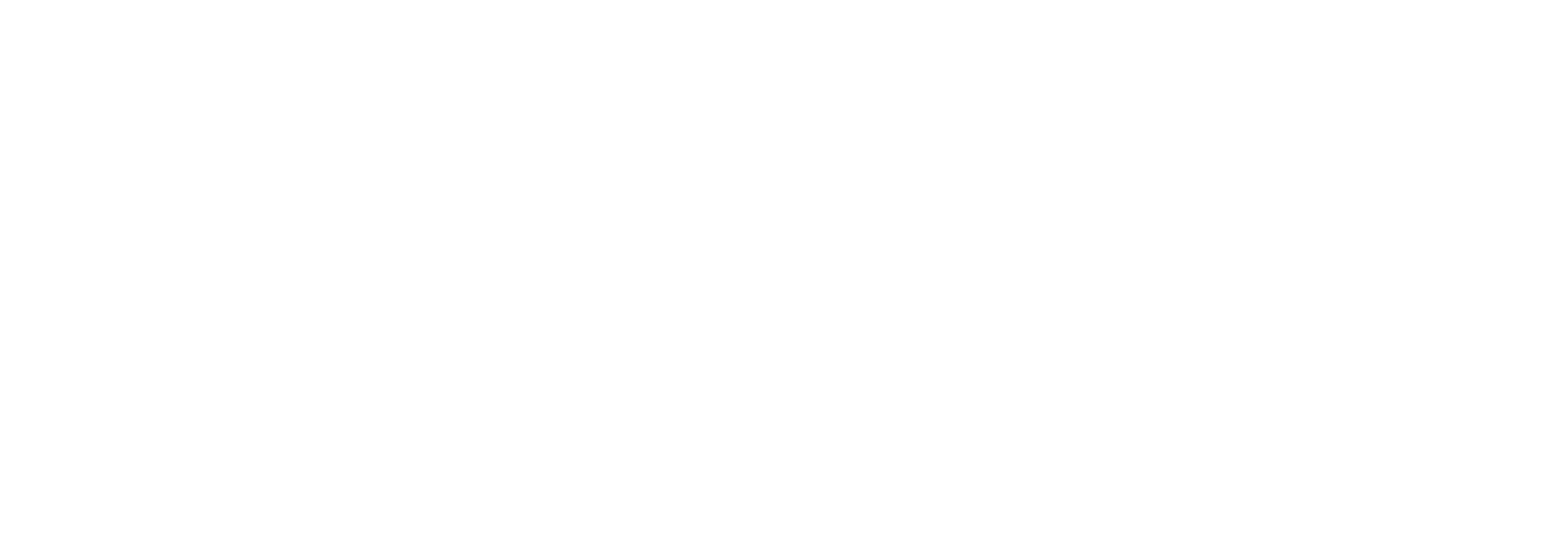 Playbet.co.za_White_Logo