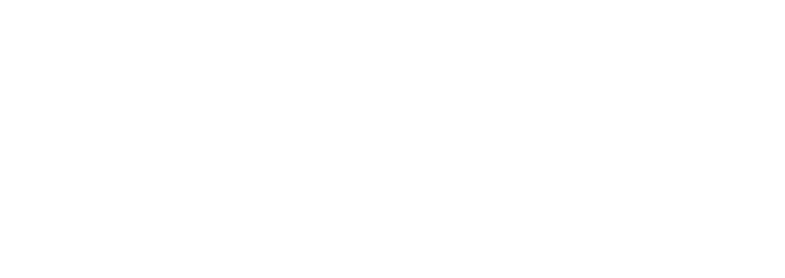 Supersportbet_White_Logo